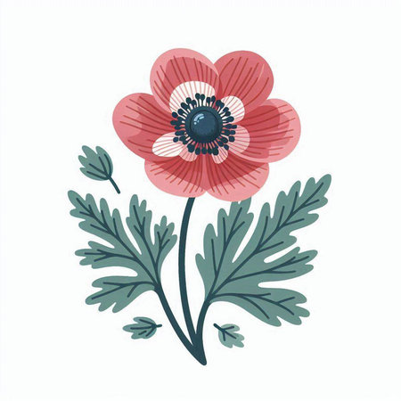 Anemone flower isolated on white background. Hand drawn vector illustration.のイラスト素材