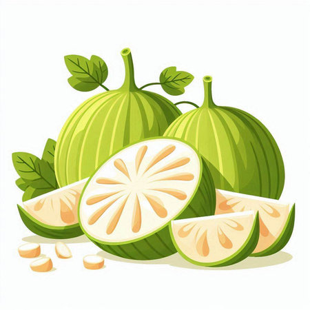 Illustration of fresh guava fruit with leaves and slices isolated on white backgroundのイラスト素材