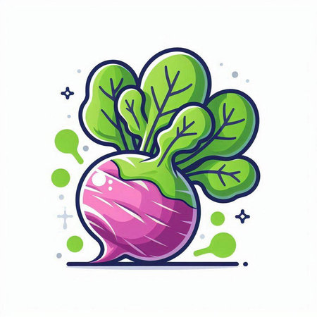 Radish vector illustration. Vegetarian food, healthy nutrition, vegetarian diet concept.のイラスト素材
