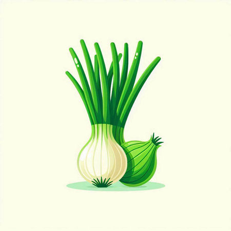 Onion vector illustration. Fresh green onion vegetable isolated on white background.のイラスト素材