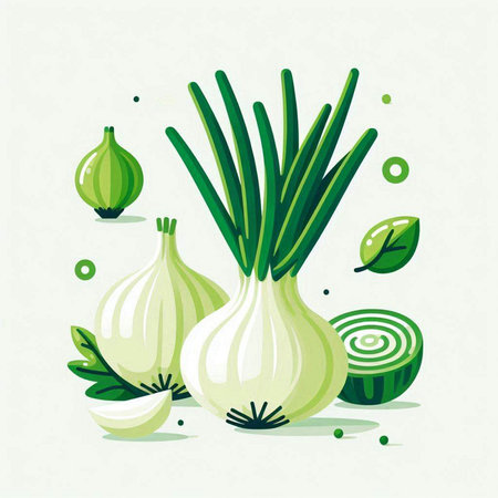 Green onion. Vector illustration. Isolated on a white background.のイラスト素材