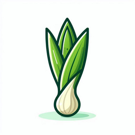 Illustration of green onion. Vector illustration. Isolated on white background.のイラスト素材