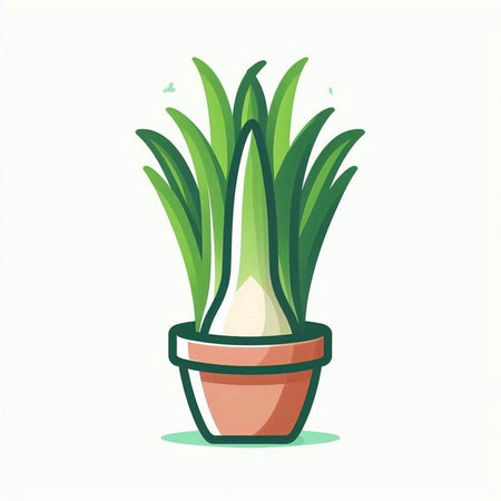 Flowerpot with aloe vera plant. Vector illustration.のイラスト素材