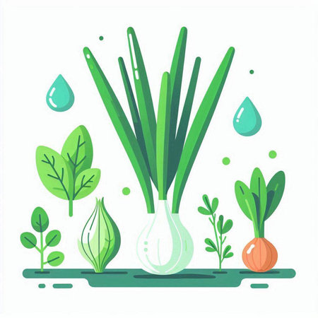 Vector illustration of fresh green onion with water drops in flat style.のイラスト素材