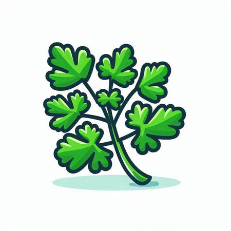 Parsley icon. Vector illustration isolated on a white background.のイラスト素材