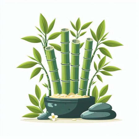 Bamboo plant with stones and flowers. Vector illustration isolated on white background.のイラスト素材