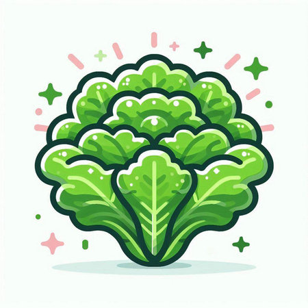 Cabbage icon. Vector illustration of fresh green cabbage isolated on white background.のイラスト素材