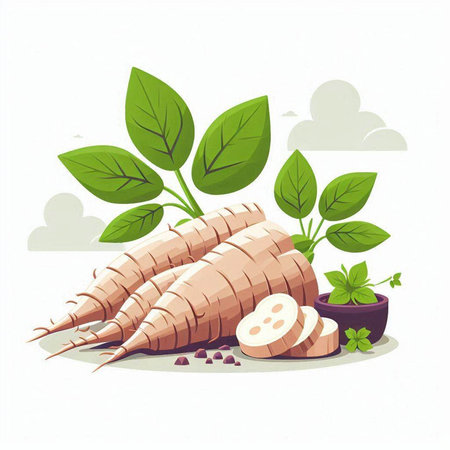 Burdock vector illustration. Fresh root vegetable with green leaves.のイラスト素材