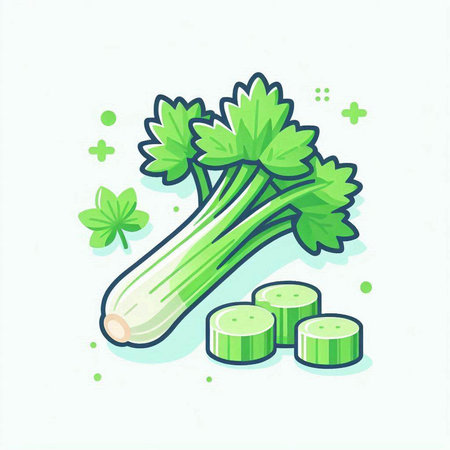 Celery icon. Vector illustration of celery isolated on white background.のイラスト素材