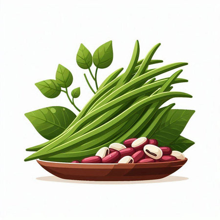 Bowl with beans and green leaves isolated on white background. Vector illustration.のイラスト素材