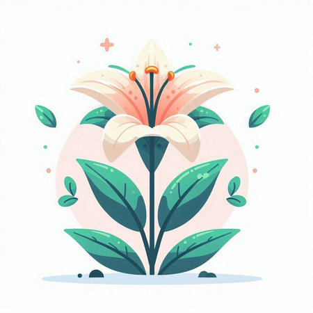 Flower vector illustration. White lily on a pink background.のイラスト素材