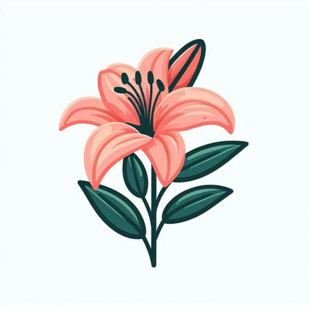 Lily flower on white background. Vector illustration in flat style.のイラスト素材