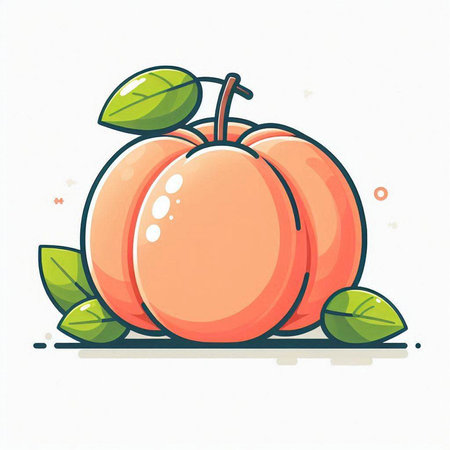 Piece of ripe apricot with green leaves. Vector illustration.のイラスト素材