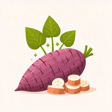 Sweet potato vector illustration. Sweet potato vector illustration. Sweet potato vector illustration.のイラスト素材