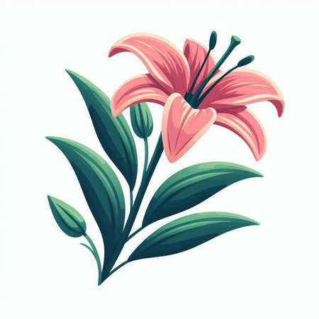 Lily flower isolated on white background. Vector illustration. EPS 10のイラスト素材