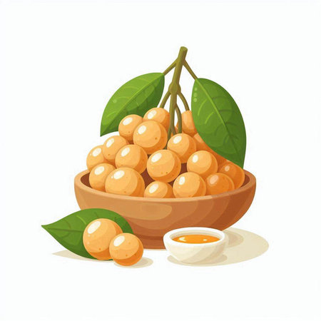 Longan fruit with leaves in wooden bowl vector illustration isolated on white backgroundのイラスト素材