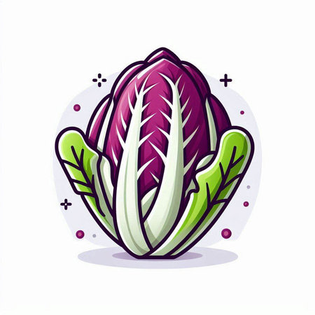 Illustration of chinese cabbage in cartoon style. Vector illustration.のイラスト素材