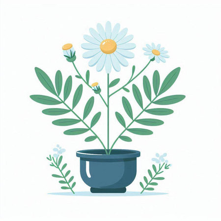 Flower pot with chamomile flowers. Vector illustration.のイラスト素材