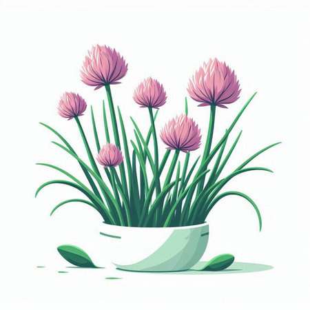 Flowerpot with chives isolated on white background. Vector illustration.のイラスト素材