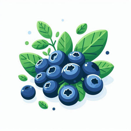 Blueberries with leaves isolated on white background. Vector illustration in flat style.のイラスト素材
