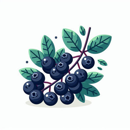 Blueberry branch with berries and leaves. Vector illustration in flat style.のイラスト素材