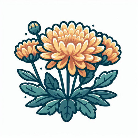 Chrysanthemum flower. Hand drawn vector illustration, isolated on white background.のイラスト素材