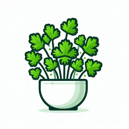 Parsley in a pot on a white background. Vector illustration.のイラスト素材