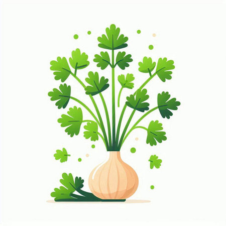 Vector illustration of parsley in a pot on a white background.のイラスト素材