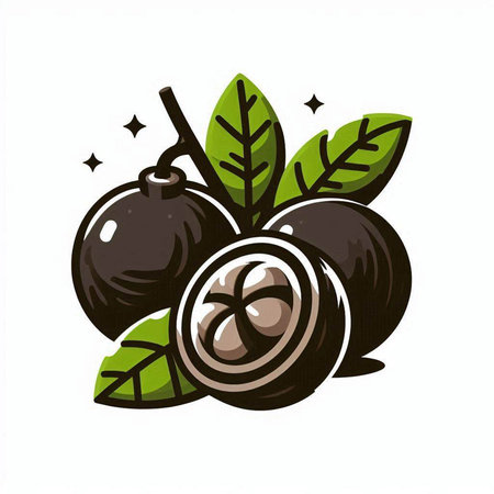 Hazelnut with leaves on a white background. Vector illustration.のイラスト素材