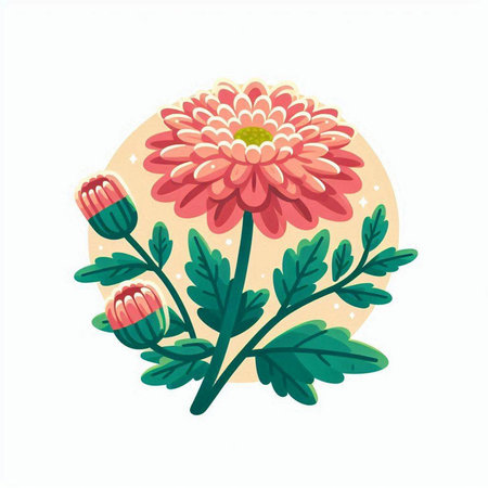 Chrysanthemum flower vector illustration. Hand drawn floral element.のイラスト素材