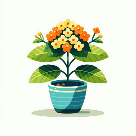Flower in a pot. Vector illustration on a white background.のイラスト素材