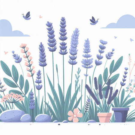 Beautiful lavender flowers in the garden with butterflies. Vector illustration.のイラスト素材