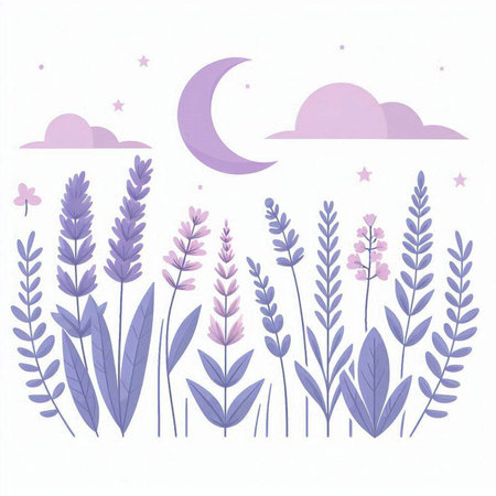 Vector illustration of lavender flowers, moon, clouds and stars.のイラスト素材