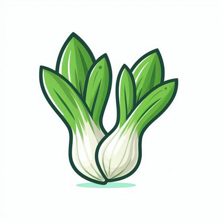 Bok choy vegetable icon on white background. Vector illustration.のイラスト素材