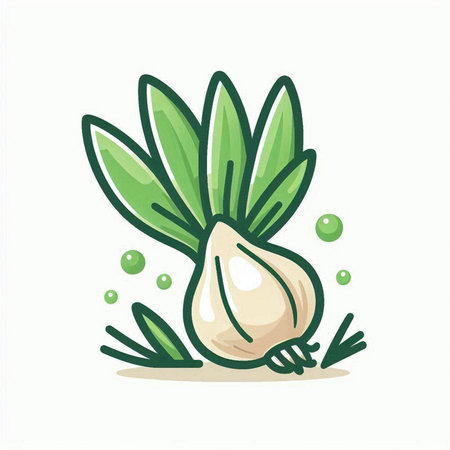 Illustration of fresh garlic with green leaves on a white background.のイラスト素材