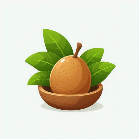 Illustration of fresh sapodilla with leaves on a white backgroundのイラスト素材