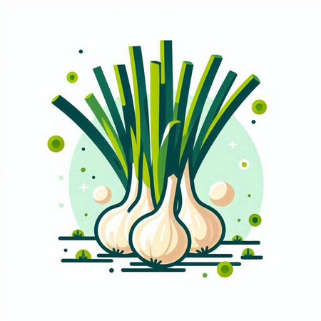 Vector illustration of fresh spring onions on green background. Flat style.のイラスト素材