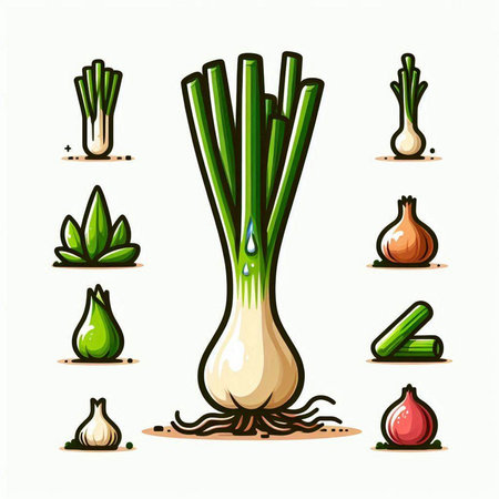 Vector set of vegetable icons. Onion, leek, onion, garlic.のイラスト素材