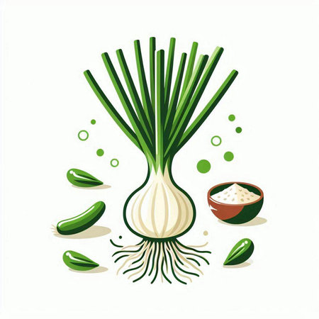 Illustration of fresh green onions on a white background. Vector illustrationのイラスト素材