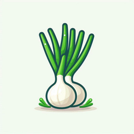 Illustration of Fresh Garlic Bulb and Green Onion on White Backgroundのイラスト素材