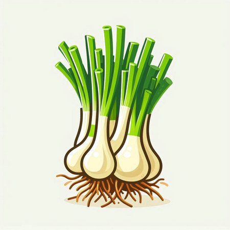 Illustration of fresh green onion with roots on a white background.のイラスト素材