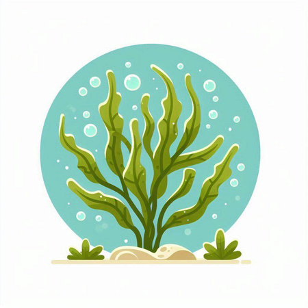 Seaweed. Underwater world. Marine life. Vector illustration.のイラスト素材