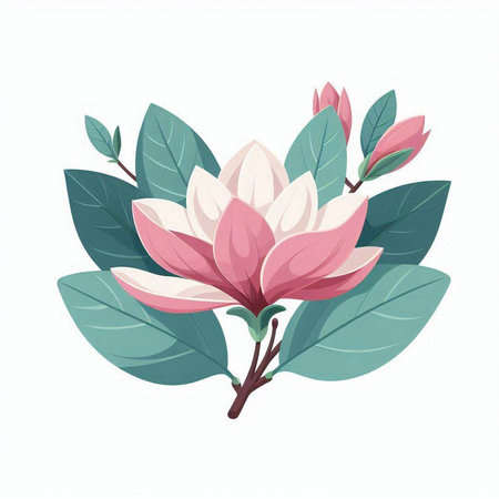 Magnolia flowers and leaves isolated on white background. Vector illustration.のイラスト素材