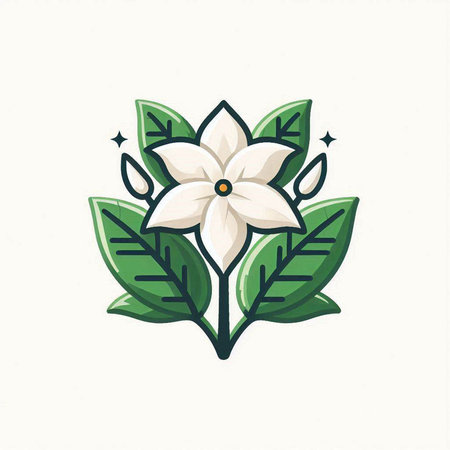 White flower with green leaves on white background. Vector Illustration.のイラスト素材