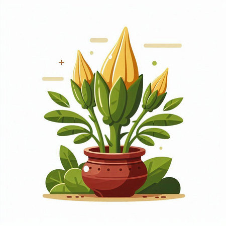 Flowerpot with succulent plants isolated on white background. Vector illustration.のイラスト素材