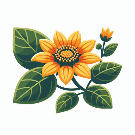 yellow flower and green leaves on a white background. vector illustration.のイラスト素材