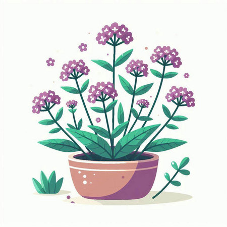 Illustration of purple flowers in a pot on a white background.のイラスト素材
