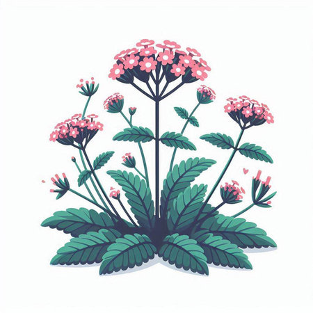 Illustration of a bunch of pink flowers on a white background.のイラスト素材