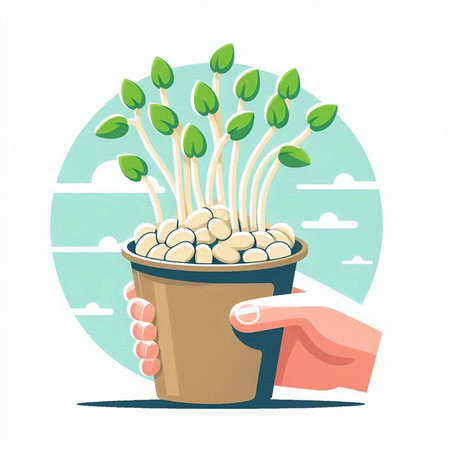 Hand holding a pot with sprouted soybeans. Sprouting soybean seedlings. Vector illustration.のイラスト素材