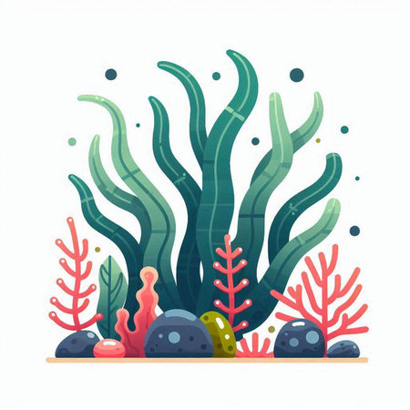 Sea algae, seaweed. Underwater life. Vector illustration.のイラスト素材